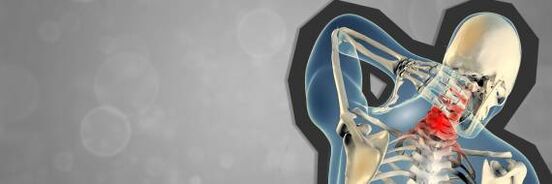 Osteocartilage of the cervical vertebra